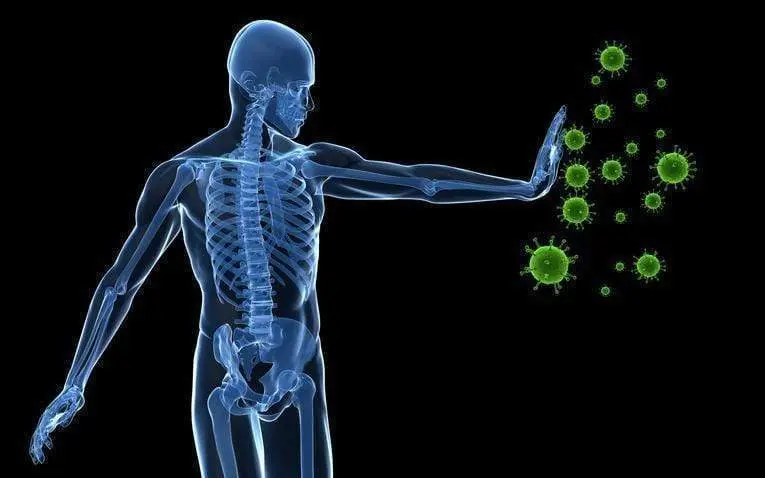 Petit cours de physiologie