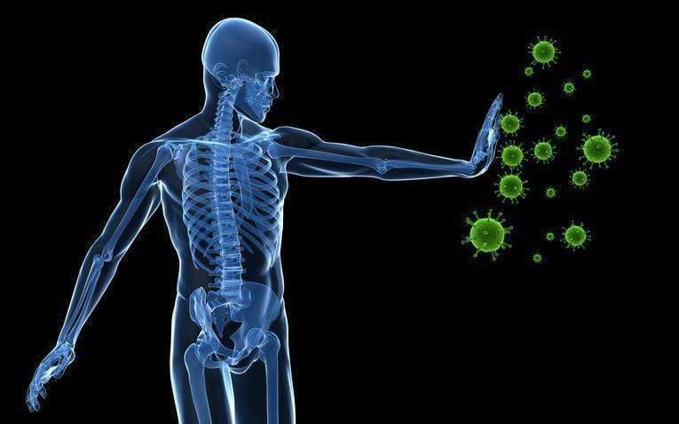 Petit cours de physiologie