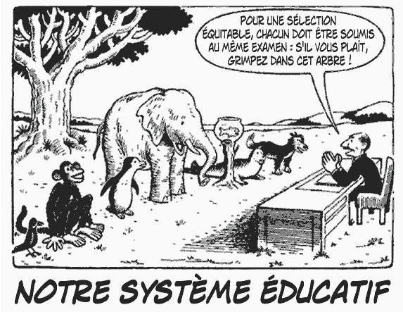 L’éducation…