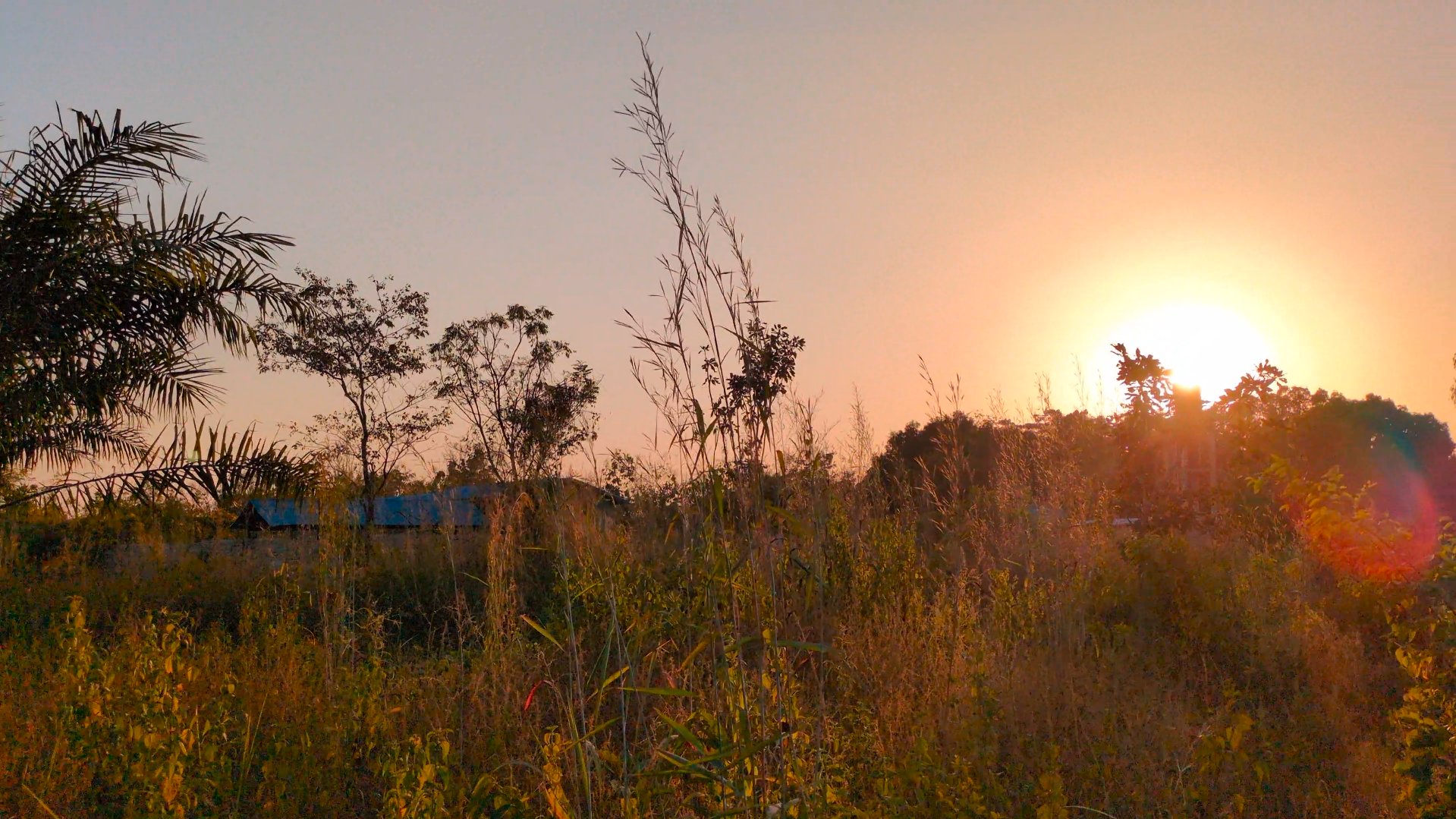 La Cité du Vivant à Ouèssè, au Bénin, au coucher du soleil